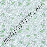 Colour:C