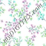 Colour:C