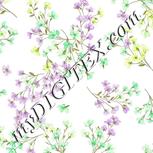 Colour:D