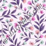 Colour:B