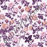 Colour:B
