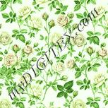 Colour:K