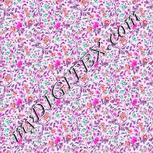 Colour:B