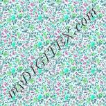 Colour:C