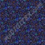 Colour:F