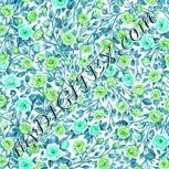 Colour:C