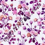 Colour:B