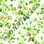 Colour:K
