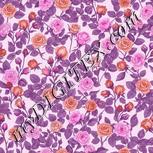 Colour:B