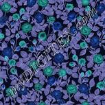 Colour:F