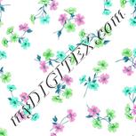 Colour:C