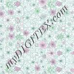 Colour:C