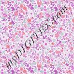Colour:B