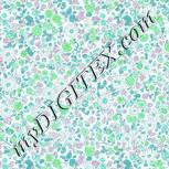 Colour:C