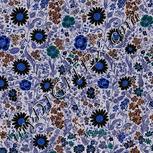 Colour:F