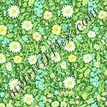 Colour:K