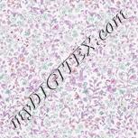 Colour:B