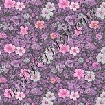 Colour:B