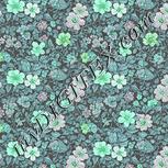 Colour:C