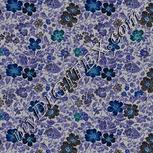 Colour:F