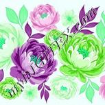 Colour:C