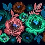 Colour:F