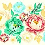 Colour:K