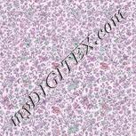 Colour:B