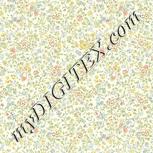 Colour:A