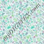 Colour:C