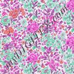 Colour:B