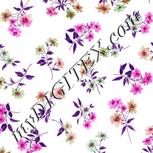 Colour:B