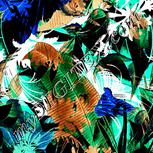 Colour:F