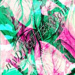 Colour:C