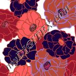 Colour:A