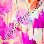 Colour:C