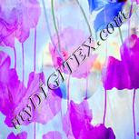 Colour:D