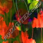 Colour:F