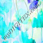 Colour:K
