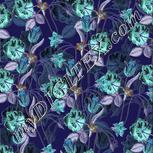 Colour:F