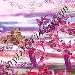 Colour:B