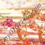 Colour:J