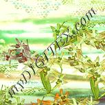 Colour:K