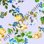 Colour:A