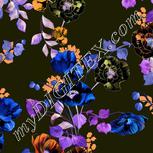 Colour:F