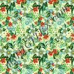 Colour:K