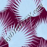 Colour:F