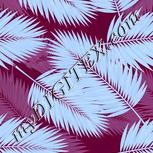 Colour:F