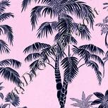 Colour:F