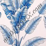 Colour:A